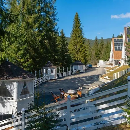 Freeman-2 весь триповерховий для 10гостей Villa Palyanytsya